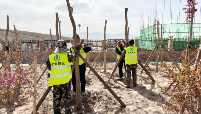 項目建設(shè) | 金昌尾礦壩生態(tài)植被恢復(fù)項目奮戰(zhàn)正酣