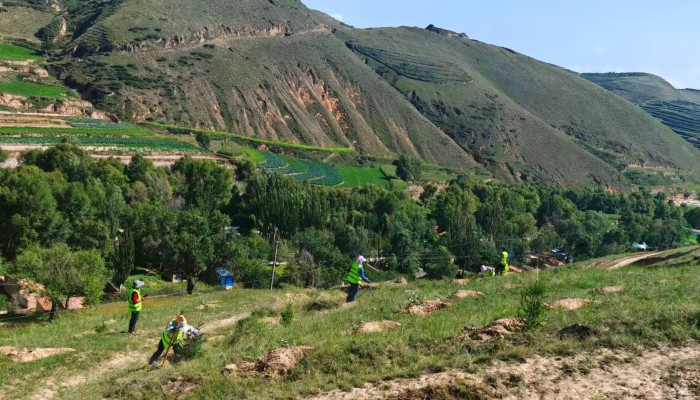 臨洮生態(tài)修復(fù)項(xiàng)目開(kāi)啟“雙線(xiàn)作戰(zhàn)”模式