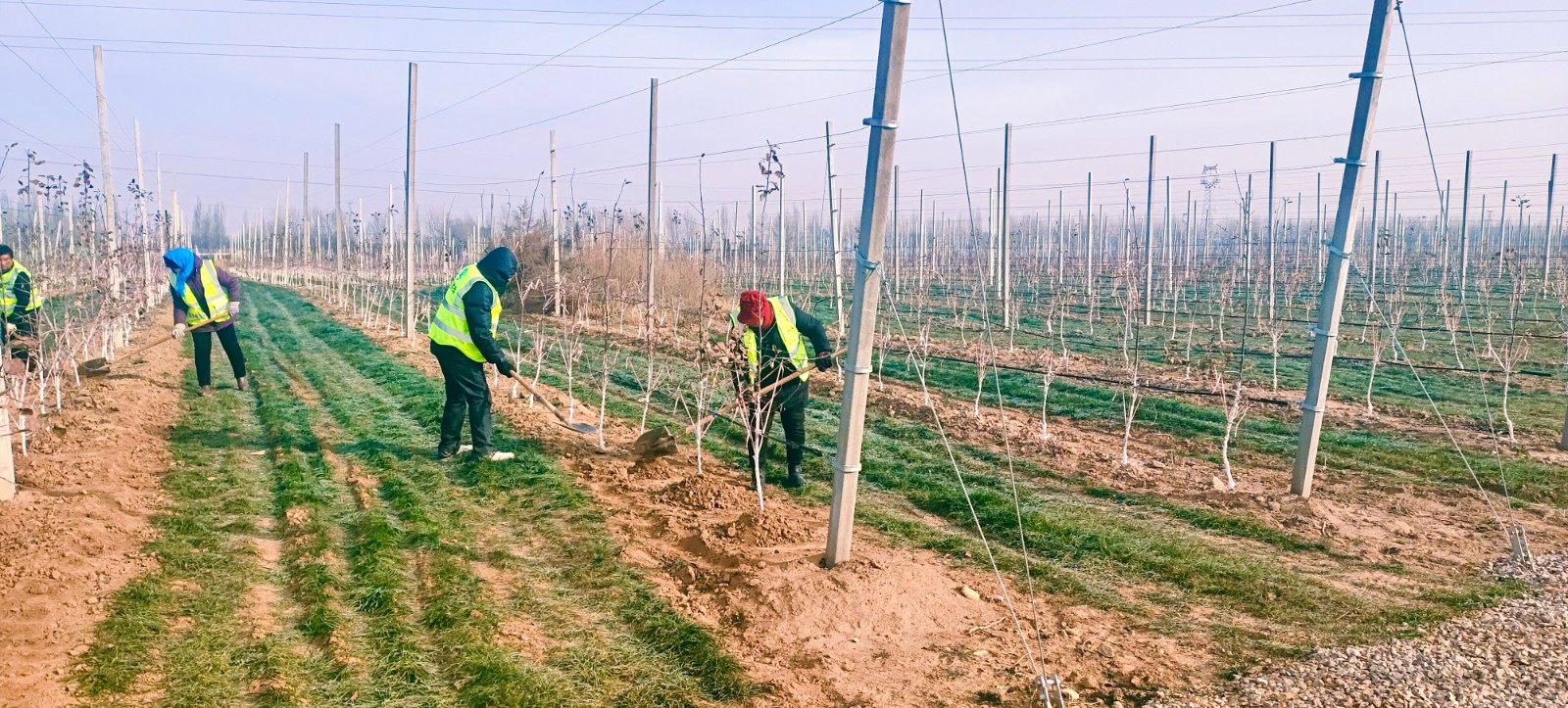 微信圖片_20221215174346.jpg 微信圖片_20221215174346.jpg