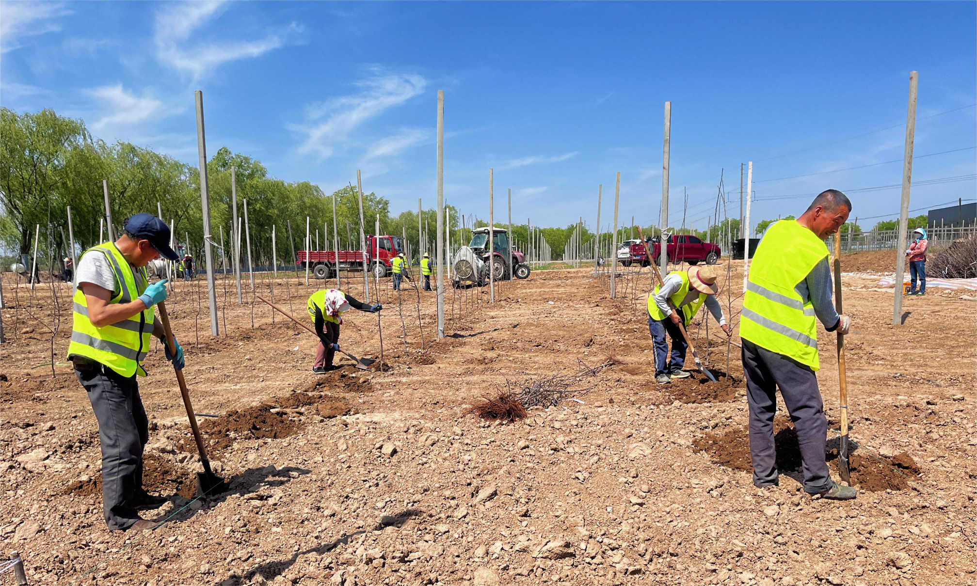 微信圖片_20230518144818(1)(1)(1).png 微信圖片_20230518144818(1)(1)(1).png